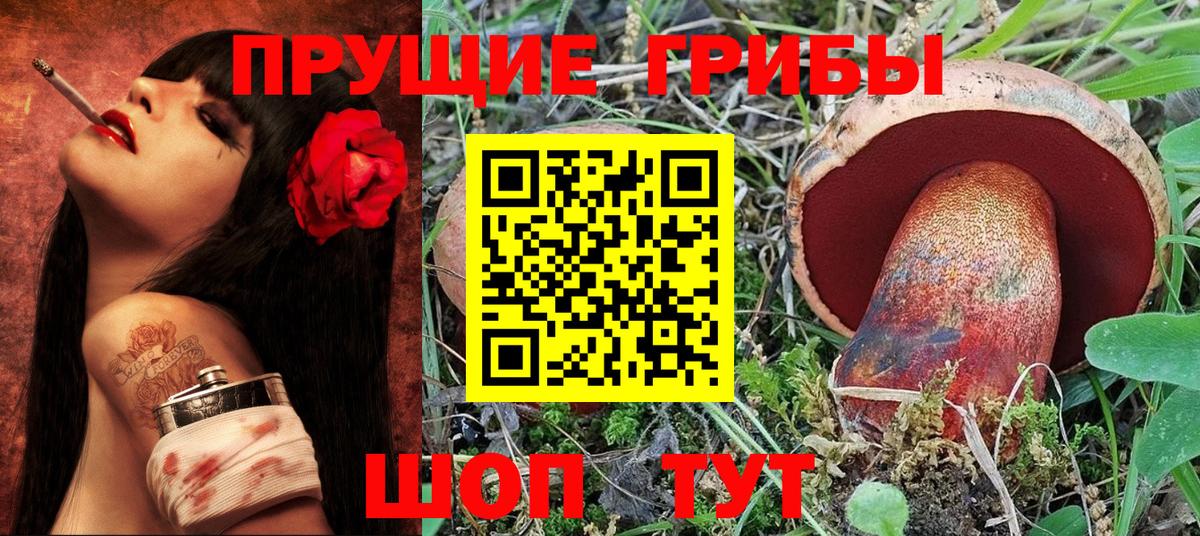 Железногорск  Псилоцибиновые грибы MAGIC MUSHROOMS  Галлюциногенные грибы мухоморы  Вход с VPN 
